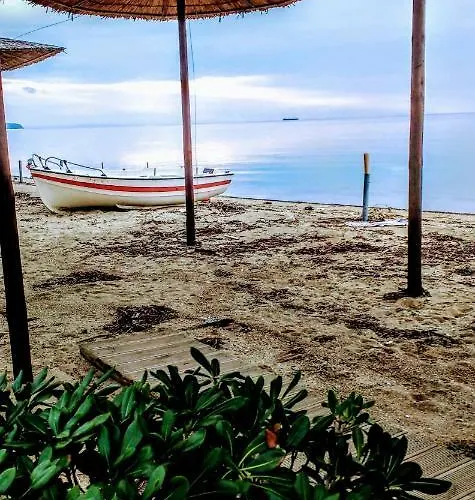 公寓 Sunset In Thermaikos *